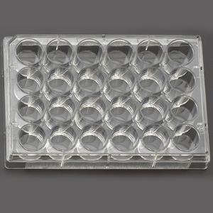 24 Well Cell Culture Plate, Flat