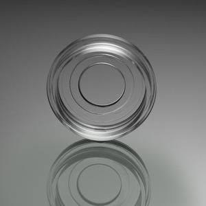 Glass Bottom Cell Culture Dish, 20mm, TC